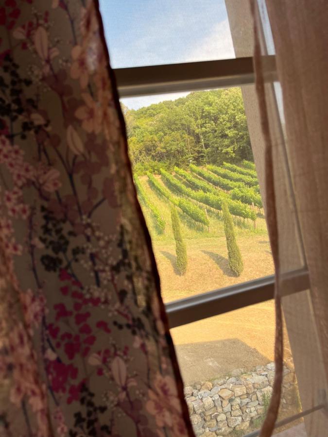 B&B Il Vecchio Molino Quercianella Eksteriør billede